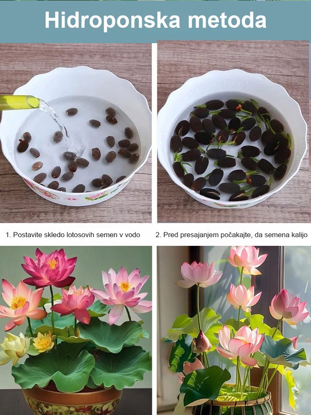 【Pretovarjanje sreče】 Okrasna hidroponska skleda lotos-SI