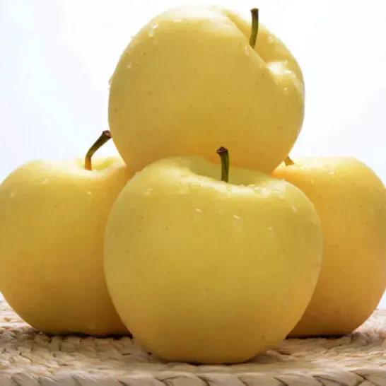 Auksinių obuolių sėklos, 90 % išgyvenamumas-LT