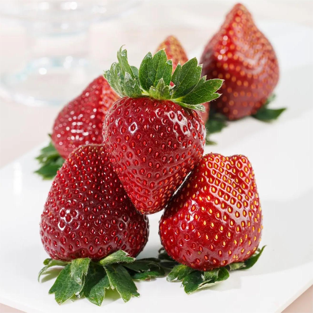 🔥⏰Ostatni dzień promocji🌱NASIONA TRUSKAWEK BLACK PEARL