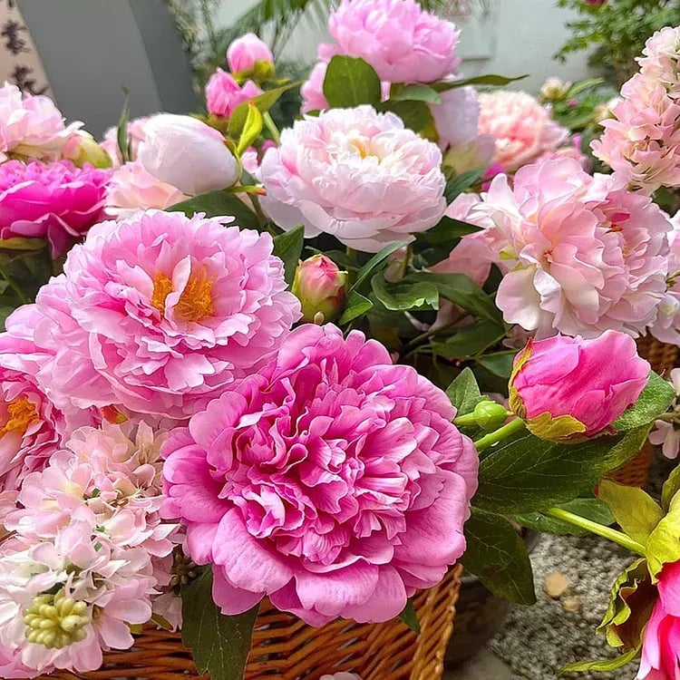 🔥OSTATNI DZIEŃ 45% ZNIŻKI🌺KRÓLOWA KWIATÓW — PODWÓJNE PIANI
