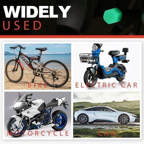 Φθορίζοντα καπάκια βαλβίδων ελαστικών-GR