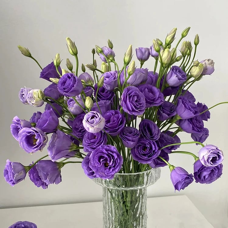 🔥Paskutinė išpardavimo diena💝Eustoma bespygliuočių rožė💐Lisianthus sėklos-LT