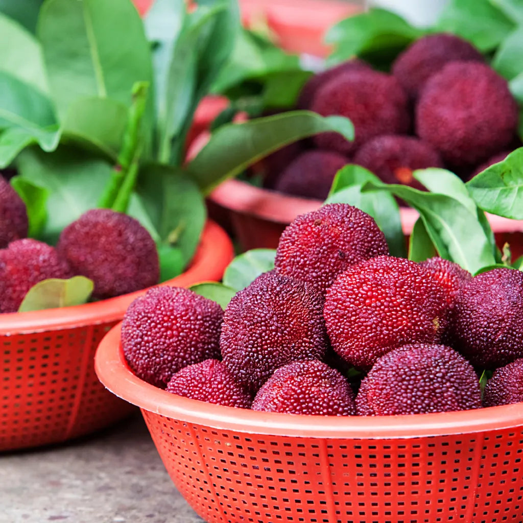Velikanska jagoda Bayberry: Velikost žogice za namizni tenis, ⭐ Okus kombinacije jagode in češnje-SI