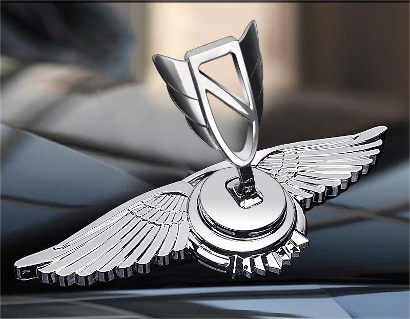 Logo na maskę samochodu z ozdobą