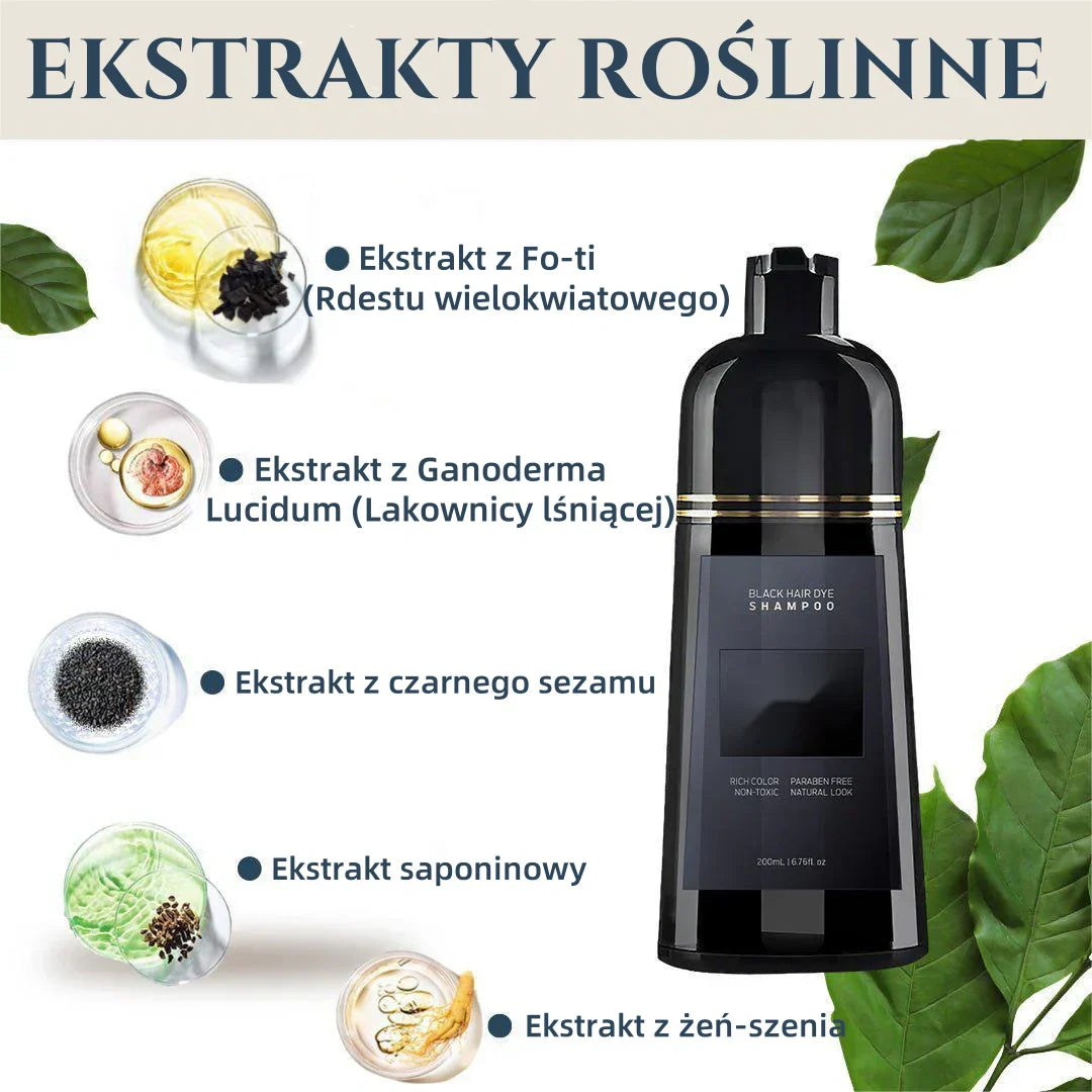 Plaukų šampūnas su momentiniu dažymo efektu - Barzda ir plaukai-LT