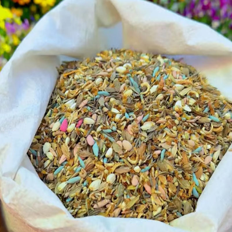 🔥Paskutinė išpardavimo diena💐Mišrių daugiamečių gėlių sėklos - daugiau nei 60 mišrių veislių-LT