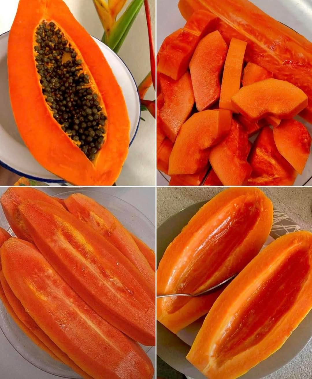 🥭 Rzadka papaja Dragon Claw – odżywia ciało, wspiera codzienne dobre samopoczucie