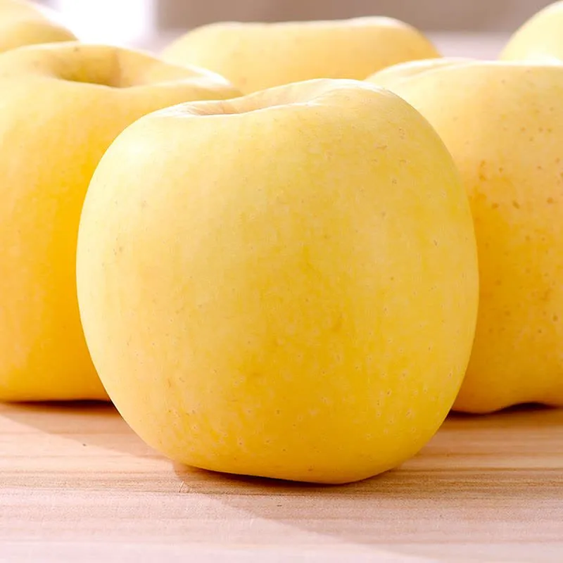 Auksinių obuolių sėklos, 90 % išgyvenamumas-LT