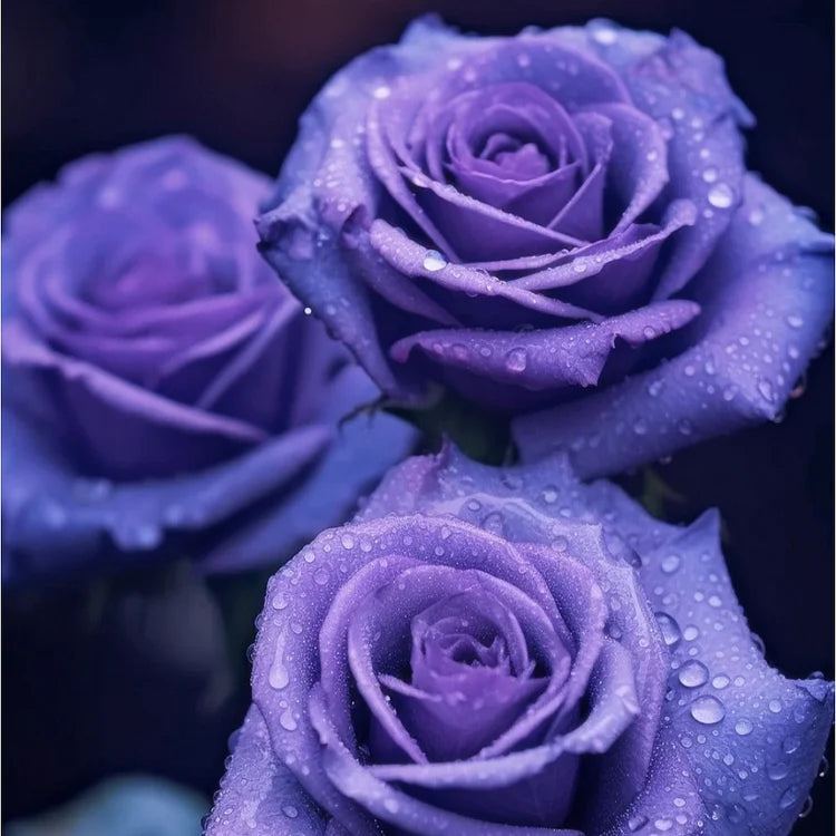 💙SEMENA VRTNICE MODRE ČAROVNICE✨-SI