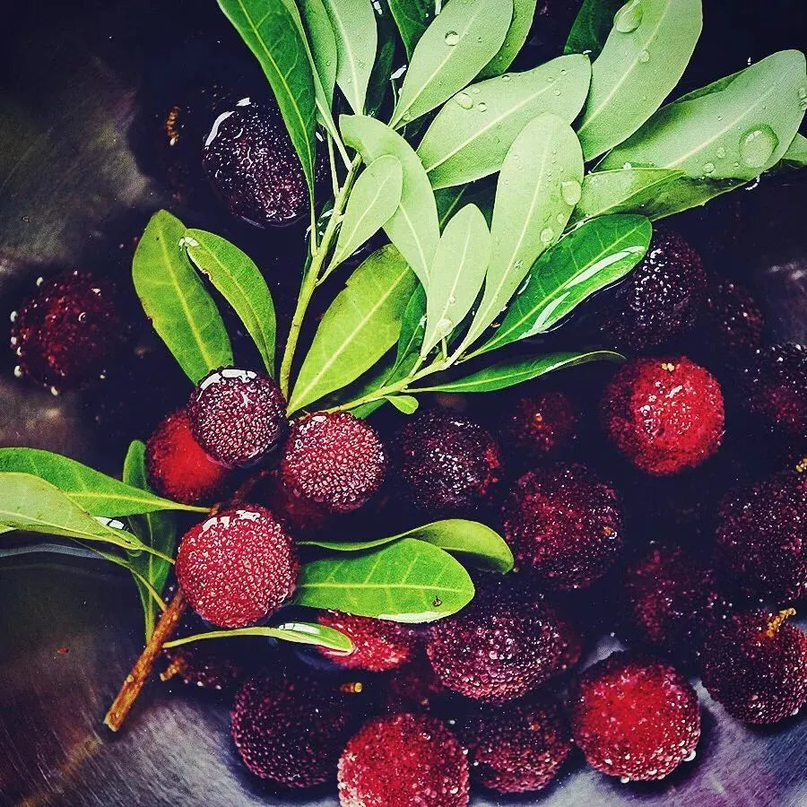 Γιγάντιο Bayberry: Στο μέγεθος μιας μπάλας πινγκ πονγκ, ⭐Μια γεύση από συνδυασμό φράουλας και κερασιού-GR