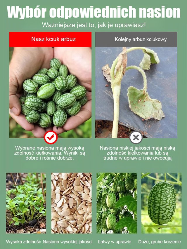 Nasiona arbuza kciuka