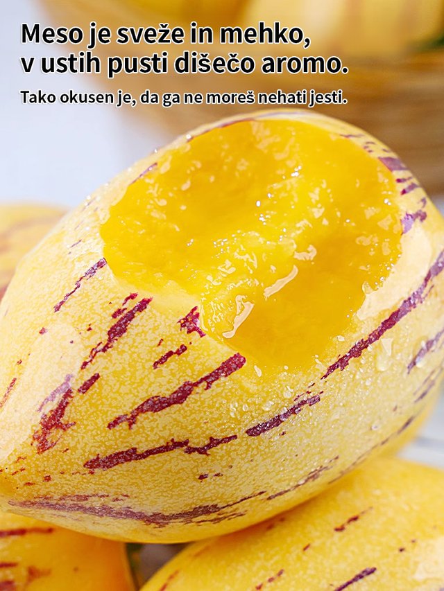 JS-Semena mlečnega, rumenega sadeža ginsenga, ki pomagajo zniževati krvni sladkor in tlak-SI