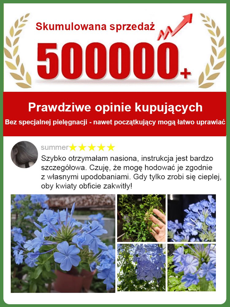 [Pachnące przez tysiące mil] Nasiona pnącza o czterech sezonach kwitnienia: niebieski kwiat śniegu