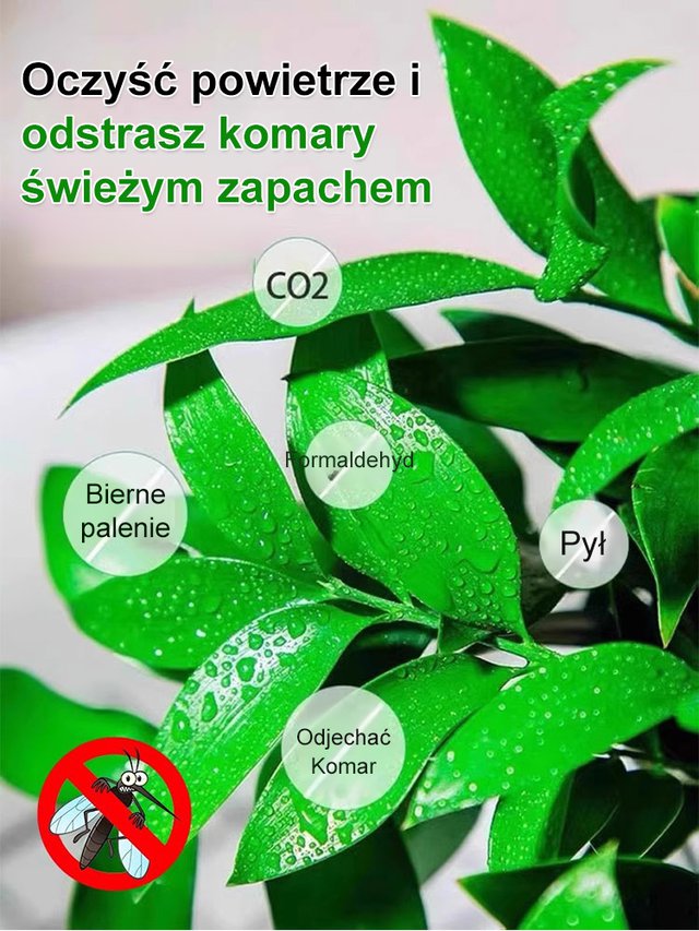 【Wystarczy woda, by żyć】Odstraszanie komarów | Oczyszczanie powietrza | Nasiona bambusa i cyprysu