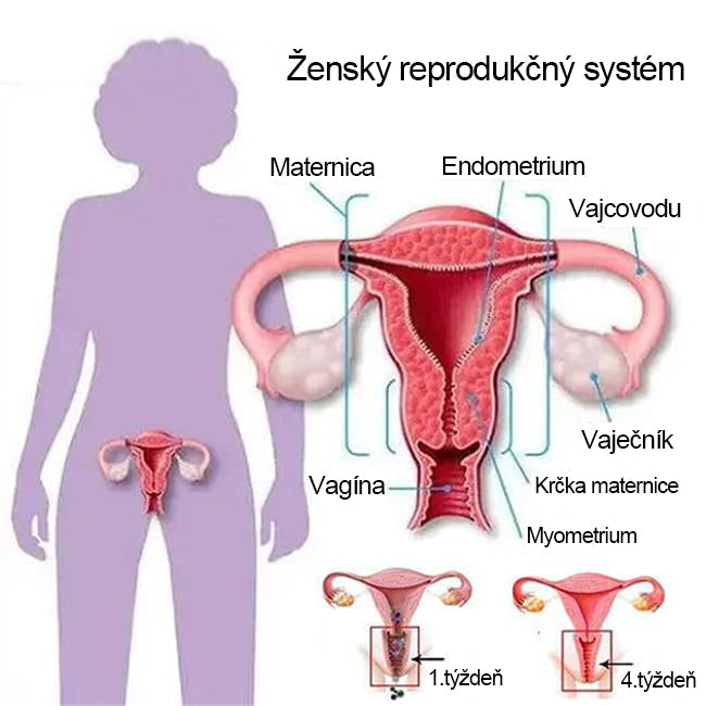 ✨Pirkite vienn ir vienn gaukite nemokamai✨ tënë formas formuojantys apatiniai avaijai