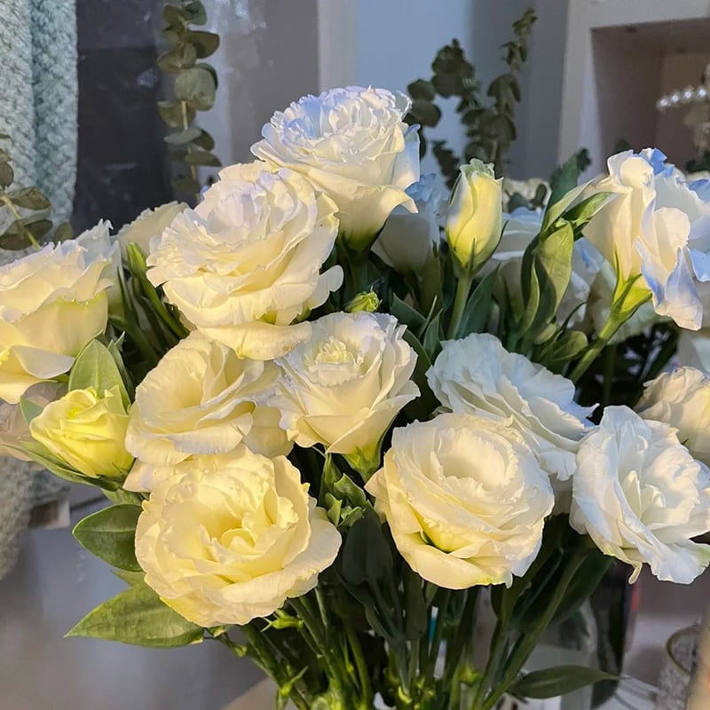 🔥Τελευταία μέρα πώλησης💝Eustoma Thornless Rose💐Σπόροι Lisianthus-GR