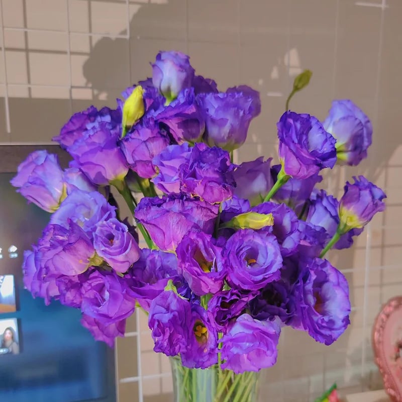 🔥Posledný deň predaja💝Eustoma beztŕňová ruža💐Semená Lisianthus-SK