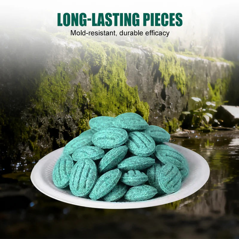 ✨Wysoce skuteczna przynęta na gryzonie✨🔥 KUP 1, DOSTAŃ 1 GRATIS! 🔥