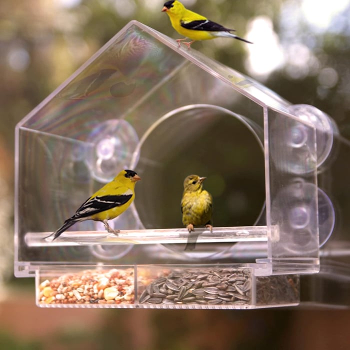 🐦👍👍👍Langinė pāvki lesykla🤩-LT