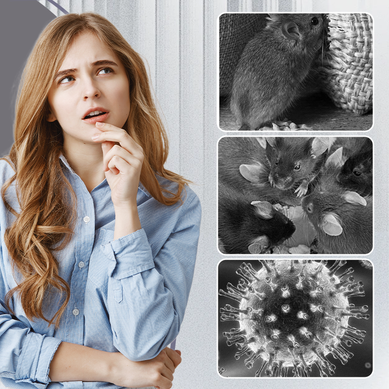 Ypač dideli žiurkių klijų spąstai-LT