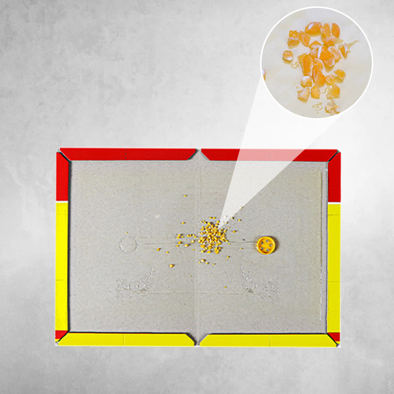 Ypač dideli žiurkių klijų spąstai-LT